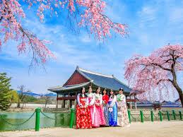 Traveling ke Korea Selatan Petualangan Backpacker Antara K-Pop, Street Food, dan Budaya Modern